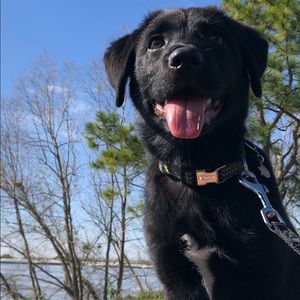 Meet your Posher, Megan